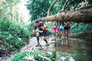 BIB: 
                            <button type="button" onclick="openModal(25463836)" class="btn btn-primary btn-sm float-right btn-popup" data-toggle="modal" data-target=".modal-high-quality">
                        <i class="fas fa-shopping-cart"></i> Add to Cart
                    </button>
                                            <button type="button" onclick="isThisMe(25463836, true)" class="btn btn-success btn-sm float-right btn-popup btn-isme hidden" data-toggle="tooltip" data-placement="bottom" title="นี่คือรูปของคุณใช่ไหม คลิกที่นี่เพื่อเอาเข้าอัลบั้ม">
                        <i class="fas fa-plus"></i> Add to album
                    </button>
                    <button type="button" onclick="isThisMe(25463836, false)" class="btn btn-warning btn-sm float-right btn-popup btn-isnotme hidden">
                        <i class="fas fa-ban"></i> Remove from album
                    </button>